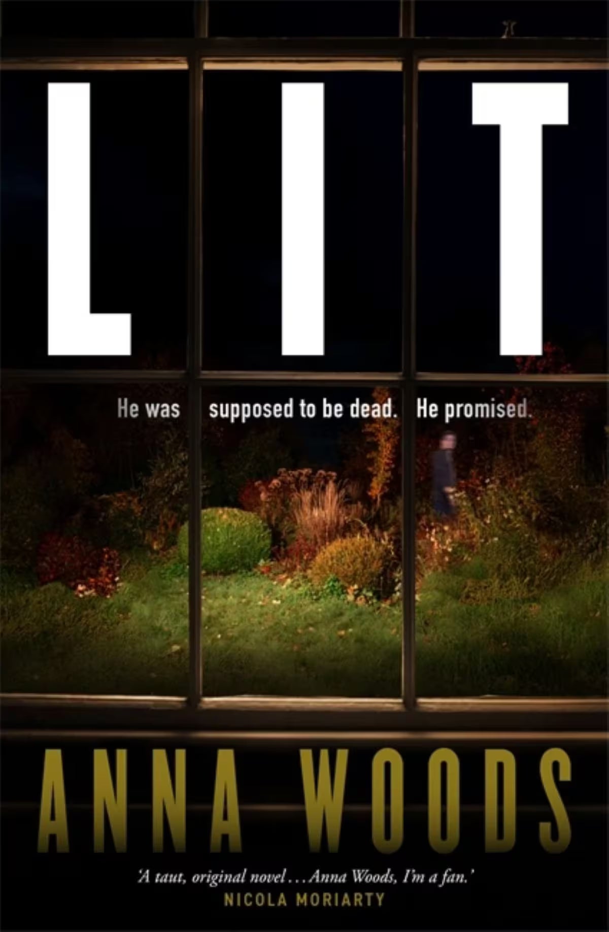 Lit by Anna Woods - Book